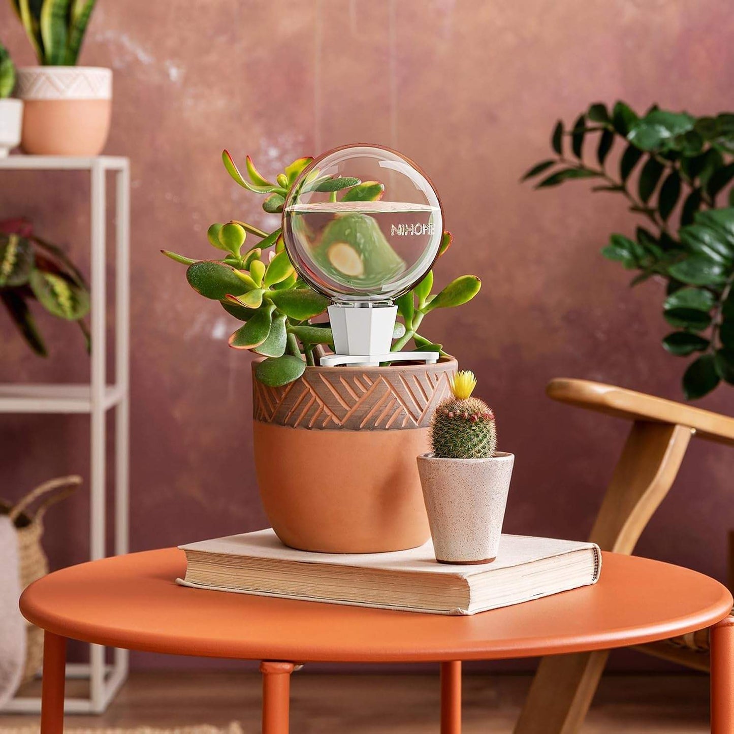 4 Stück Bewässerungskugeln Für Zimmerpflanzen, Selbstbewässerung Wasserspender Pflanzen Mit Tonbasis, Automatische Pflanzen Bewässerung, Plant Self-Watering Globes (Weiß)