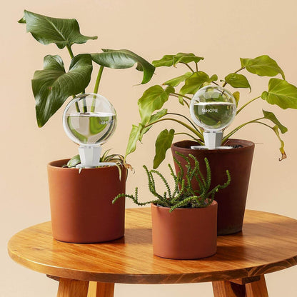4 Stück Bewässerungskugeln Für Zimmerpflanzen, Selbstbewässerung Wasserspender Pflanzen Mit Tonbasis, Automatische Pflanzen Bewässerung, Plant Self-Watering Globes (Weiß)