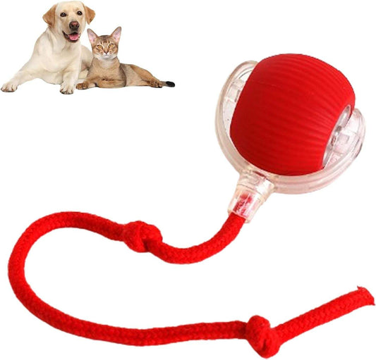 Automatischer 360°-Rollball für Katzen und Hunde, USB-wiederaufladbar und bewegungsaktiviert, sorgt für spielerische Beschäftigung im Innenbereich